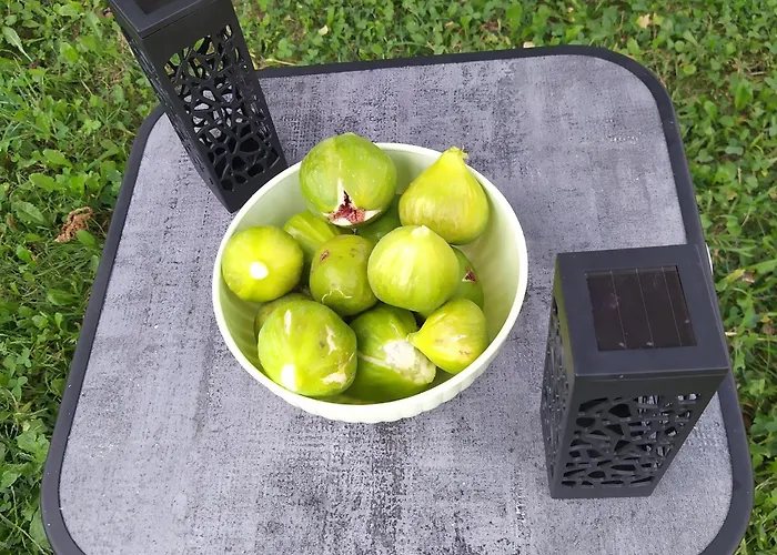 Casa La Betulla Ferienhaus Blessagno