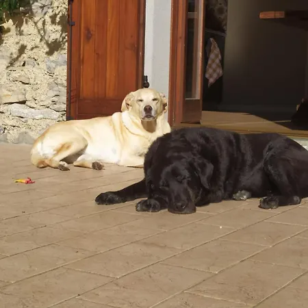 Casa La Betulla * Blessagno